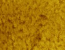 Bild3Filament3imppgpsfarbam230421102halpha174mm