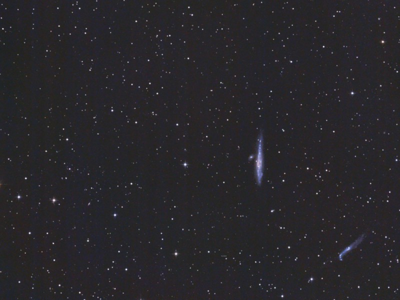 NGC4631U.Siepmann