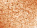 AR12827300521farb