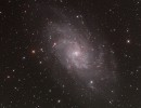 M33 768tp