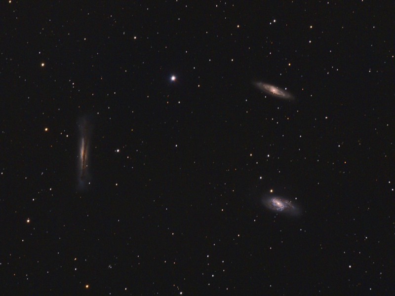 M65 M66 NGC3628min ohne cda101aus