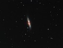 M82 CD M82 CD