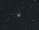 m101 1 768 m101 1 768