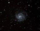 m101 m101