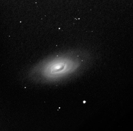 m64