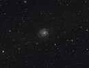 M101 240min ohne cda11 M101 240min ohne cda11