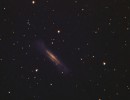 NGC3628 45min cda1 5a filtered NGC3628 45min cda1 5a filtered