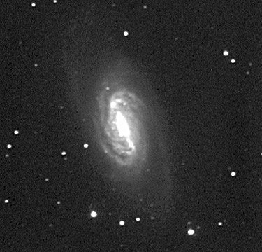 ngc2903