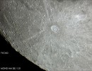 mond008 mond008