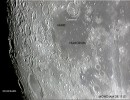 mond010 mond010