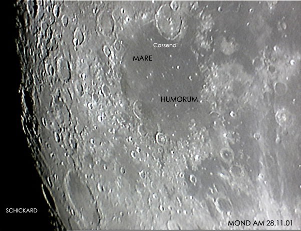 mond010