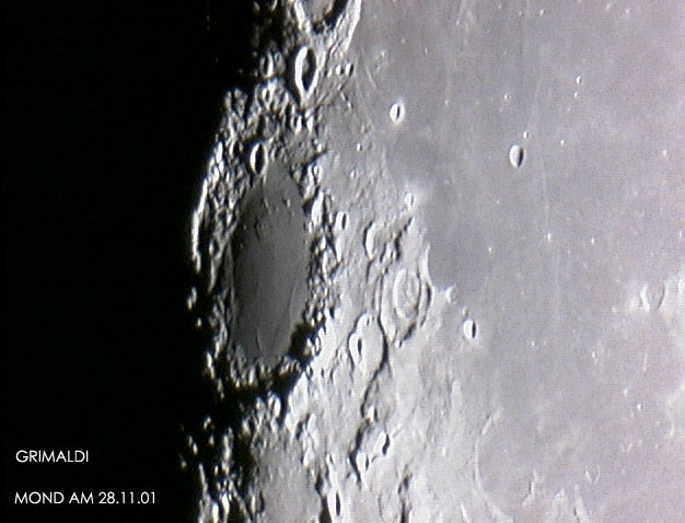 mond014