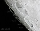 mond018 mond018