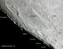 mond019 mond019