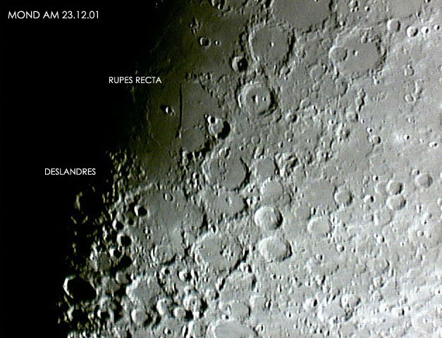 mond025