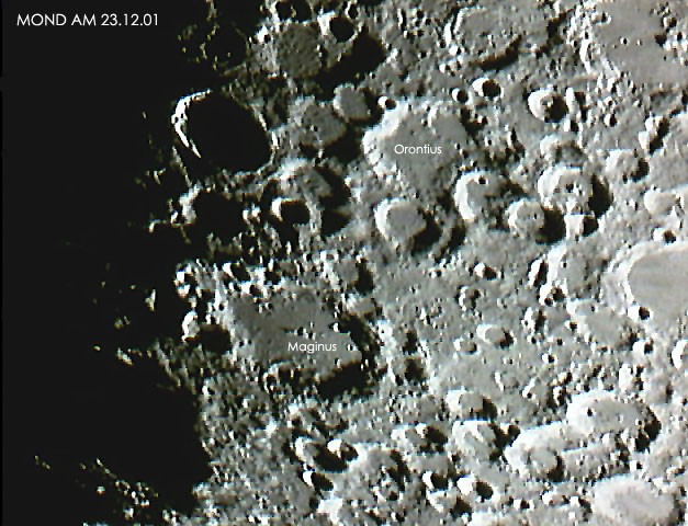 mond049