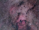 cygnus widefield cda7