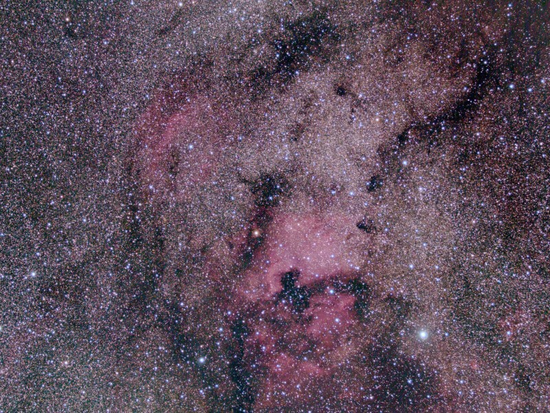 cygnus widefield cda7