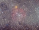 ic1396 mg 0247 260 treated 2ndtry ic1396 mg 0247 260 treated 2ndtry