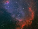 ic1848 crop natural ic1848 crop natural