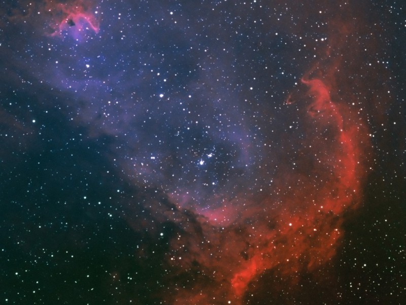 ic1848 crop natural