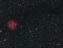 ic5146 40er ic5146 40er