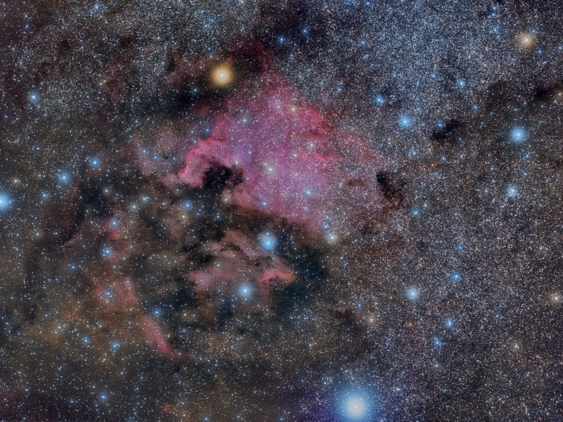 ngc7000