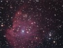 ngc2174 100min mit cda1 11a filtered ngc2174 100min mit cda1 11a filtered