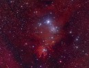 ngc2264 tp ngc2264 tp