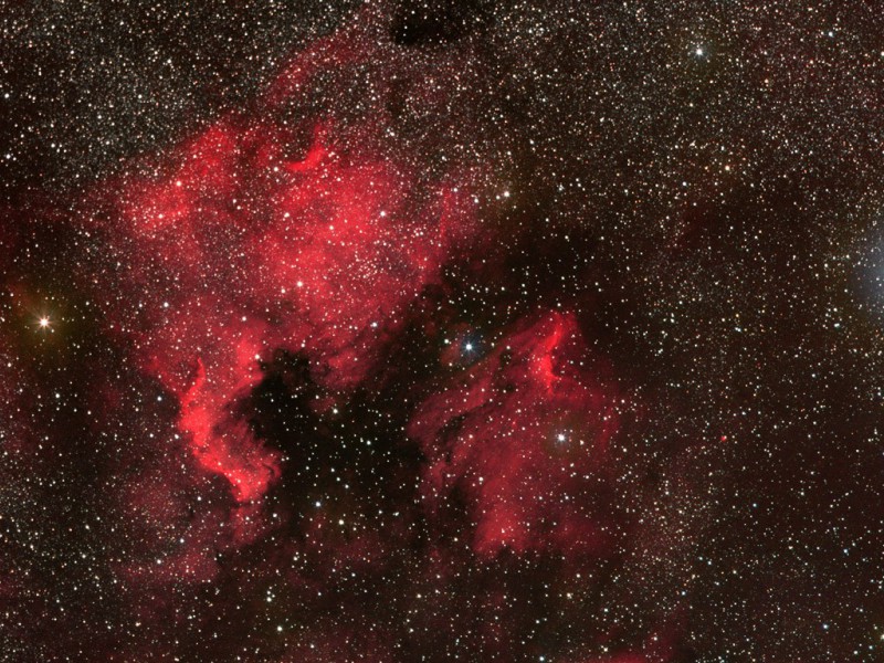 ngc7000 mf