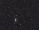 ngc2403glxam28022022ts115red ngc2403glxam28022022ts115red