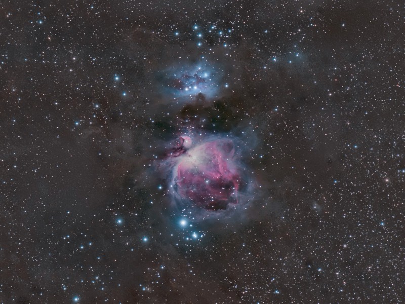 orion crop geglaettet1c