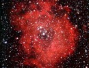 rosette rosette