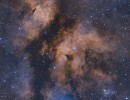 ic1318apistarsplusstarlessfullstarsfromrgbview1 ic1318apistarsplusstarlessfullstarsfromrgbview1