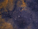 ic1396hubfinalgn ic1396hubfinalgn