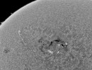 3691luntroi 3691luntroi