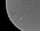 3697luntroia 3697luntroia