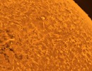 ar3667a.coljpg ar3667a.coljpg
