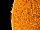 ar3680col ar3680col
