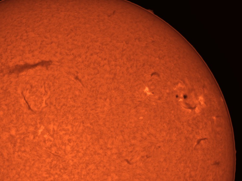 ar4115col