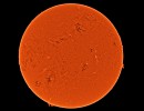 fd1col2025 fd1col2025