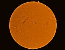 fdinvcol7