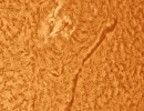 filamentimsoam12062023pscol filamentimsoam12062023pscol