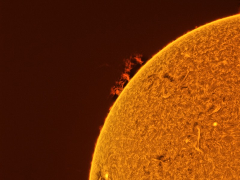 protam01202026inv13 l3 ap895