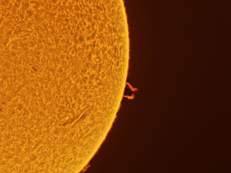 protam01202026inv13 56 l4 ap728