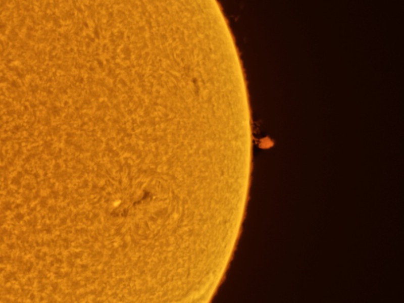 protinvam0119202613 48 l3 ap1298