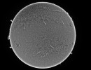 sonneam23.04.2023fd11