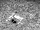 spot4079ts115crop