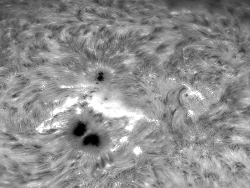 spot4079ts115crop
